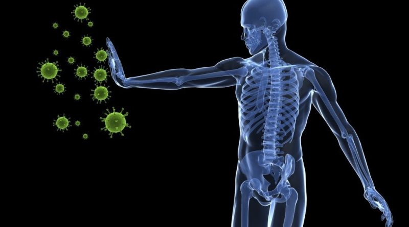 the human immune system