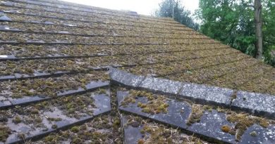 Lichen, Moss and Mould: Are They Bad For My Roof?
