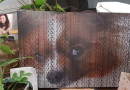 Custom Pet Canvas USA Art Why Everyone Needs A Pet Portrait