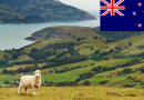 All You Need to Know About New Zealand Tourist Visa and FAQ