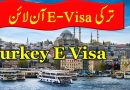A Guide to Obtaining a Turkey Business Visa