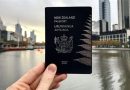 A Comprehensive Guide to New Zealand Visa for Finnish