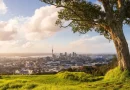 New Zealand Visa Landscape: A Comprehensive Guide to Application
