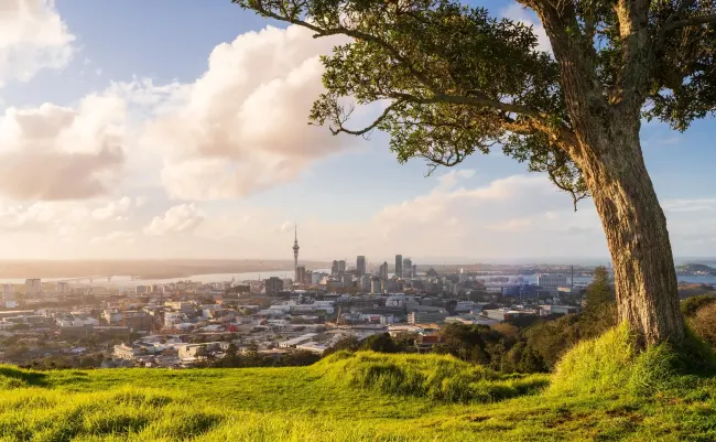 New Zealand Visa Landscape: A Comprehensive Guide to Application