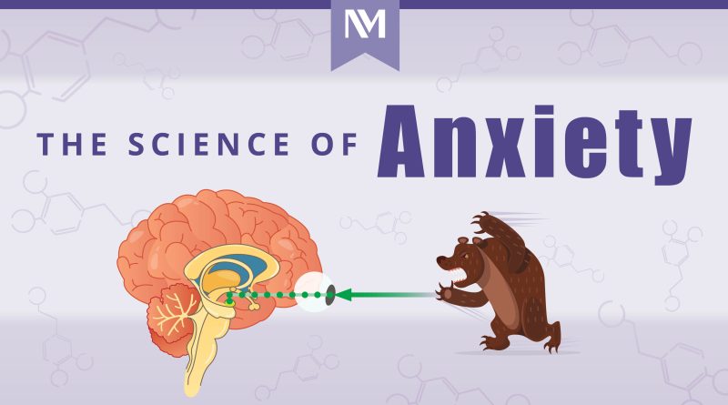 Navigating Anxiety: Understanding Treatment Options for a Healthier Mind