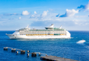 How Can Cruise Ship Passengers and Danish Citizens Obtain an Indian Visa?