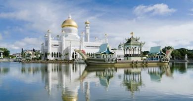 How Can Citizens of Brunei and Cyprus Obtain an Indian Visa?