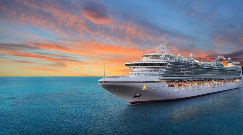 Cruise Ship Visitors Obtain an Indian Visa