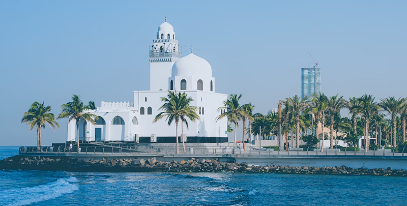 Saudi Arabia’s Charm: A Guide to Cruise Tourist Visas