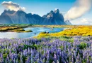 Saudi Visa Requirements for Icelandic Citizens
