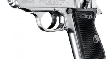 22 caliber pistol