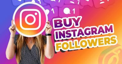 Buy Instagram Followers | Real, Instant Delivery & Only $3 by SocialBudies