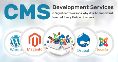 CMS Development Services