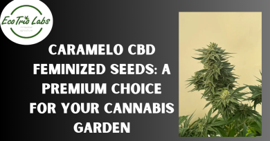 Caramelo CBD Feminized Seeds