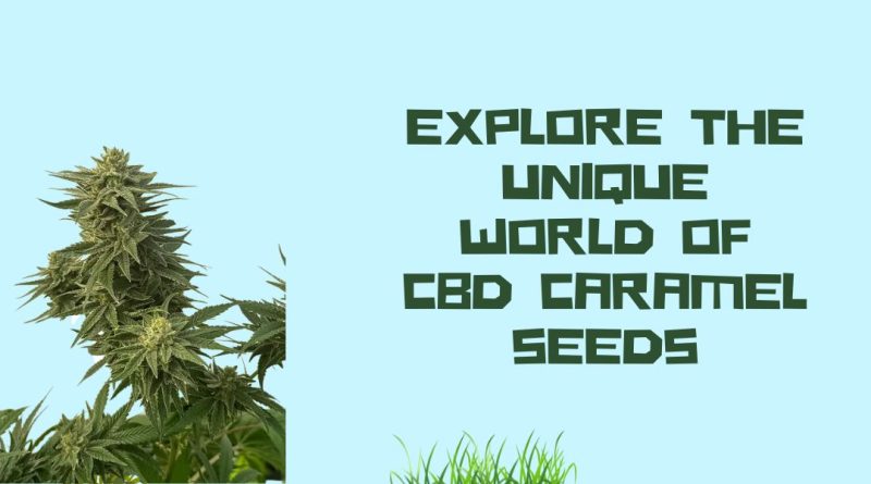 CBD Caramel Seeds