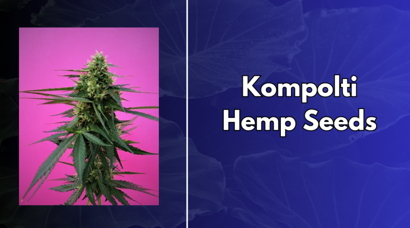 Kompolti Hemp Seeds