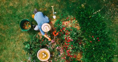 Landscaper Caldwell