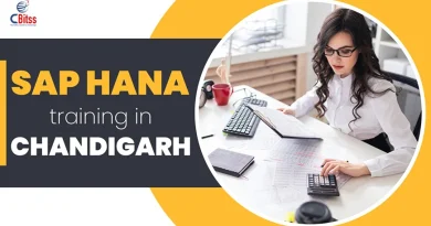 SAP HANA Course in Chandigarh