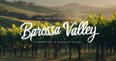 Wine Tours for Special Occasions: Celebrating in Barossa Valleyq