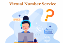 Virtual number