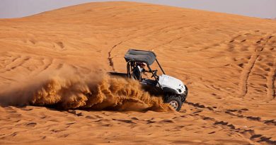 Buggy Experiences in Dubai