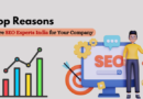 seo experts india