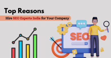 seo experts india