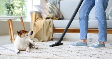 Best Practices For Removing Pet Odors From Your Home