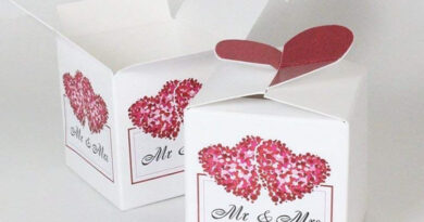 Favor Boxes wholesale