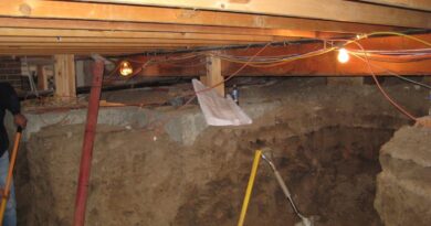 How To Prevent Mold In Your Basement, Crawlspace, And Bathroom