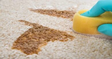 How To Protect Your Carpets From Stains?