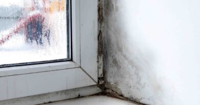 How To Remove Mold From Window Sills