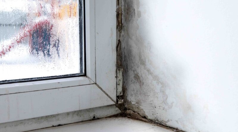 How To Remove Mold From Window Sills