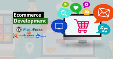 Ecommerce website development in dubai