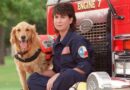 K9 Fire Protection Teams: How They Respond to Emergency Situations