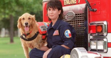 K9 Fire Protection Teams: How They Respond to Emergency Situations