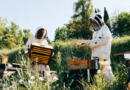 Balancing Protection and Preservation: Keeping Bees Out Without Threatening Local Ecosystems