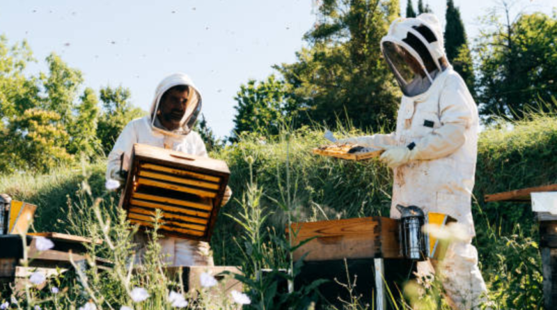 Balancing Protection and Preservation: Keeping Bees Out Without Threatening Local Ecosystems