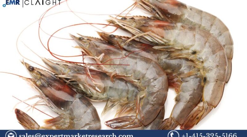 United States Shrimp Market