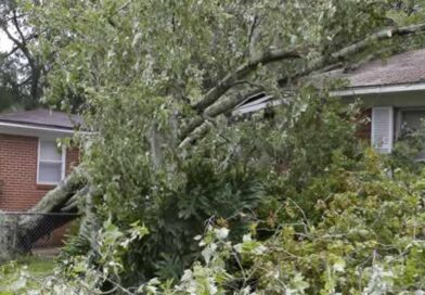 Emergency Tree Work