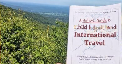 A Holistic Guide to Child Health and International Travel