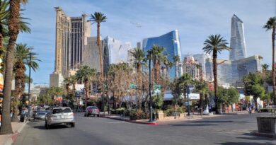 Navigating the City with Ease to the Las Vegas Business Directory