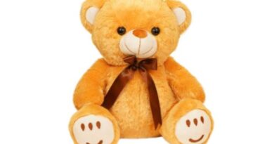Why Buying Cute Soft Toys Online Is Easier and Smarter Than Ever