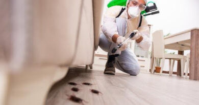 Pest Control