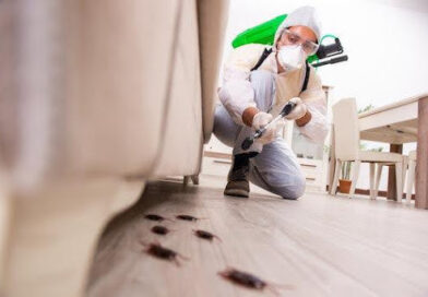 Pest Control