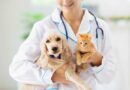 Neutering