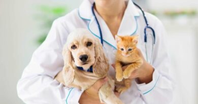 Neutering