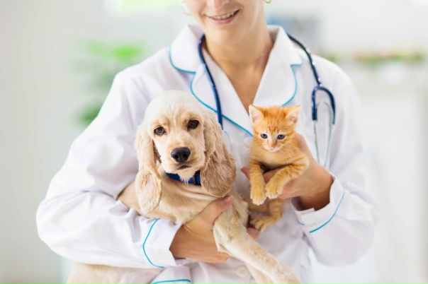 Neutering