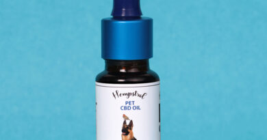 CBD Oil