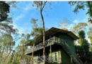 Machaan Plantation Resort, Sakleshpur: The Perfect Destination for Corporate Outings
